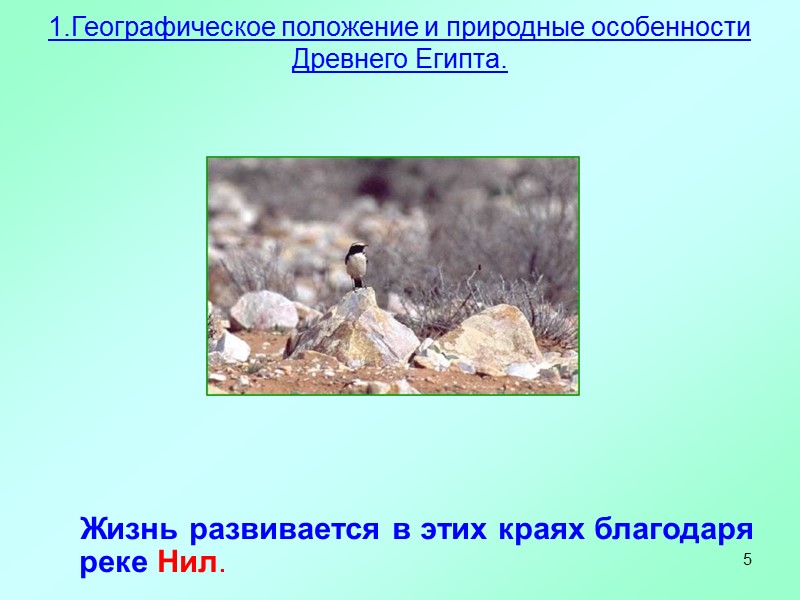 5      Жизнь развивается в этих краях благодаря реке Нил.